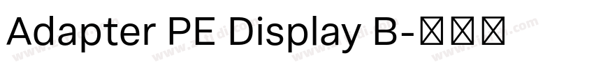 Adapter PE Display B字体转换